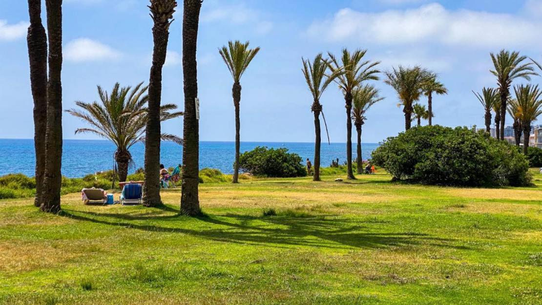 Apartamento Villa Amalia Torrevieja Exteriér fotografie