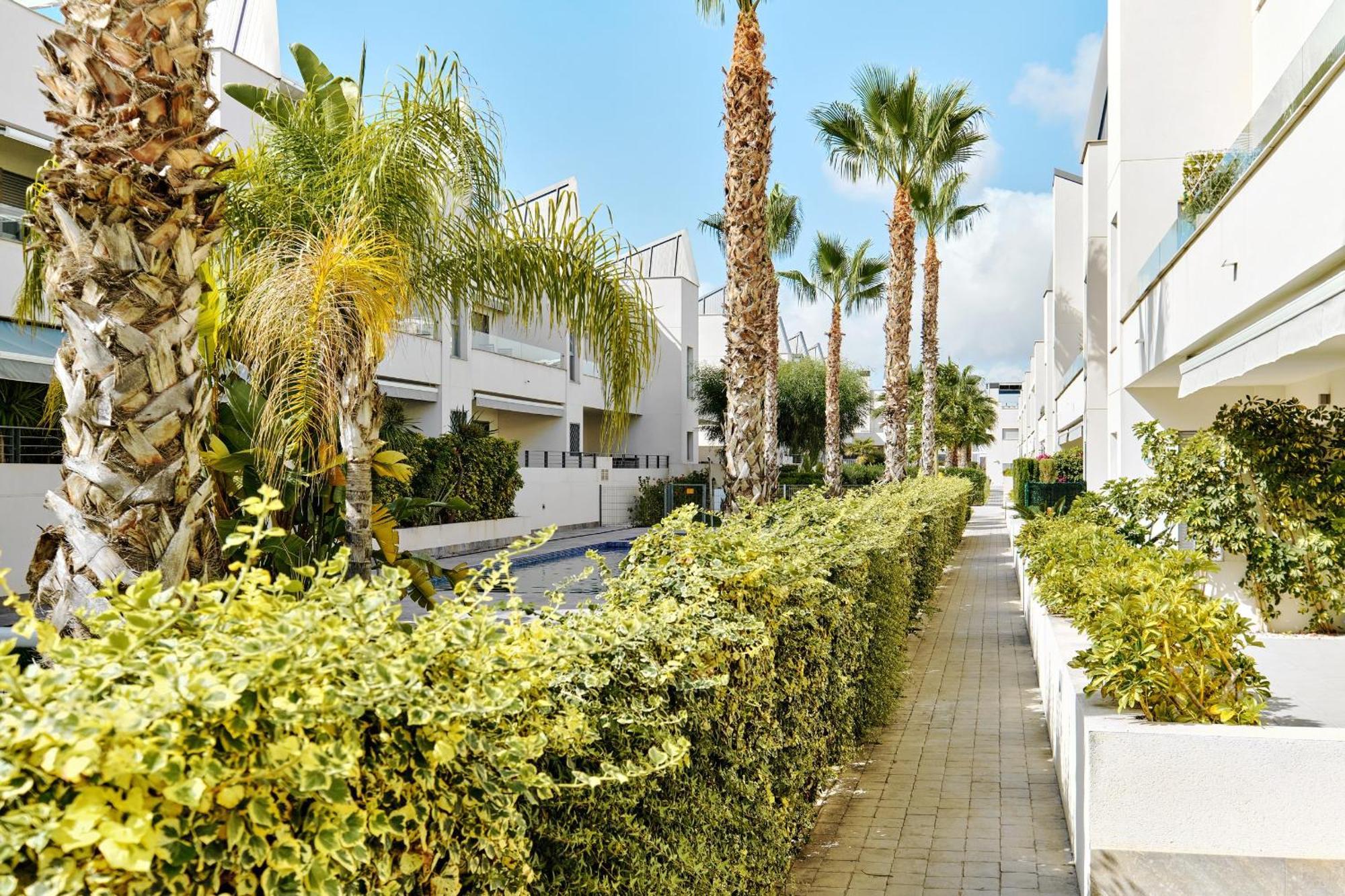 Apartamento Villa Amalia Torrevieja Exteriér fotografie